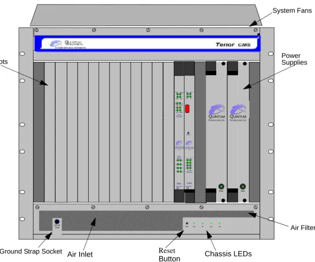 Figure 2-3 Tenor CMS Front View - DC unit