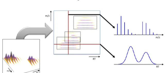 Figure 2: m/z  RT  m/z  RT  RT  m/z 