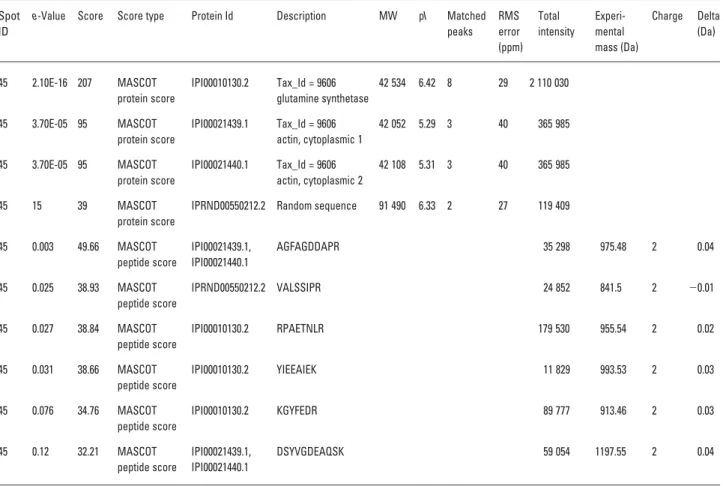 Table 1. Extract from one gel spot of a Protein Hits Report of LC-MS/MS search results