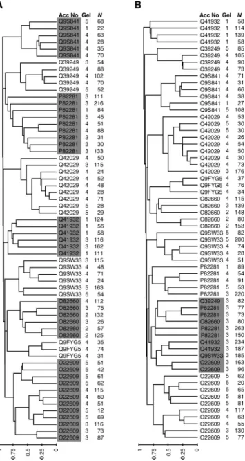 Figure 1. Hierarchical clustering of 62 peak lists from nine Arabidopsis proteins. Mass spectra were derived by MALDI-MS, and peak extraction and processing (calibration and filtering) were performed in PIUMS