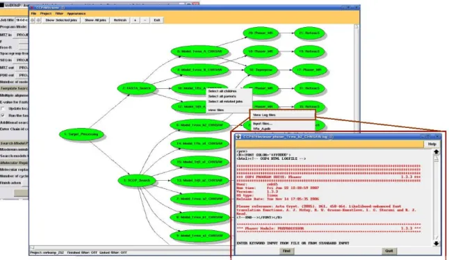 Figure 3: Example of the dbviewer showing the output from a MrBUMP job 