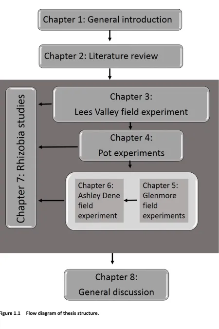 Figure 1.1 Flow diagram of thesis structure. 