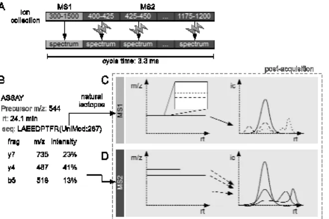 Fig. 1: Overview of DIA-MS and targeted extraction. A) The instrument  typically performs a single full-range MS1 scan, followed by a number  of MS2 scans on subsets of the precursor range