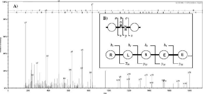 Table 2.  Steps of Data Preprocessing in MS-Based Proteomics. 