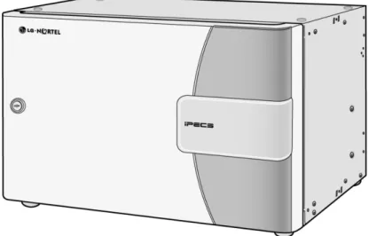 Figure 2.3.4-1 Main Cabinet 