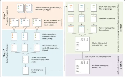 Fig. 1 Schematic of the four stages of the SNP-GBS-CROP workflow