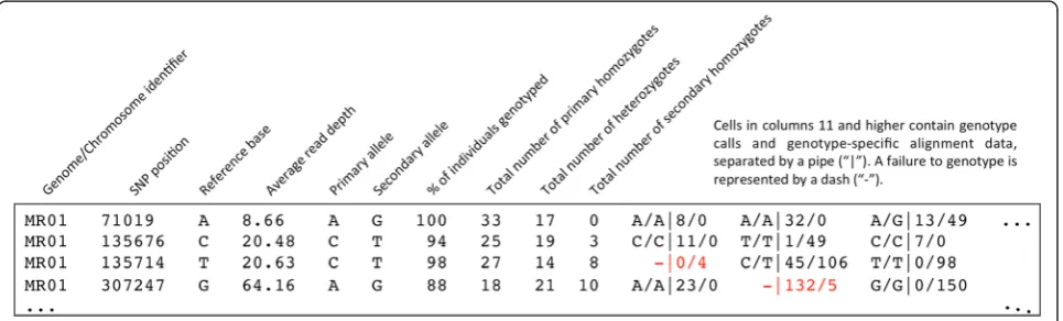 Fig. 2 Structure of the final SNP genotyping matrix. As shown here, the GBS-SNP-CROP final genotyping matrix contains summary statistics aswell as complete genotype-specific alignment data for each SNP called