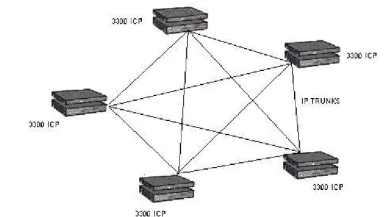 Figure 12: IP Networking - Fully Meshed Topology