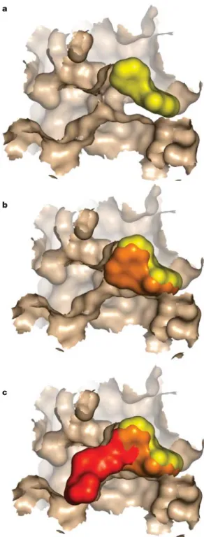 FIGURE 2 schematically illustrates how fragments  and HTS hits compare as starting points for drug  dis-covery (see also  FIG