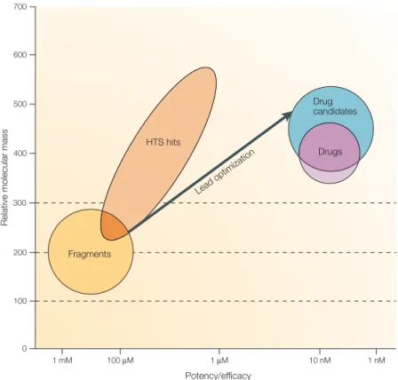 Figure 2 | Schematic comparison of the usual molecular mass and potency ranges of high-throughput screening hits with fragments as starting points for lead identification and drug discovery