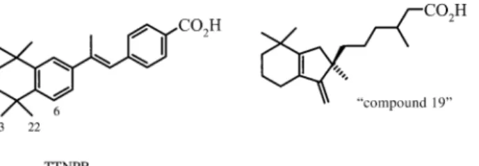 Figure 2. Electron density for and structure of “compound 19” in com- com-plex with CRABP2.
