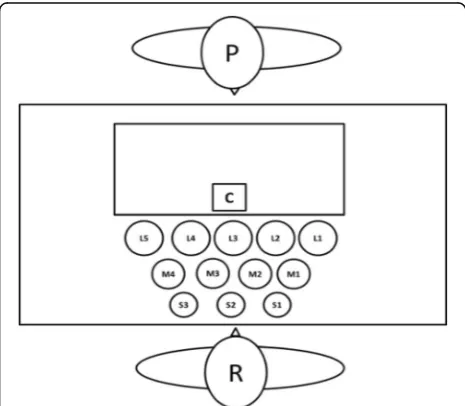 Fig. 3 Proportion of correct responses on trials for which the fasterobject in a pair was small and light (see Panel 5 in Fig