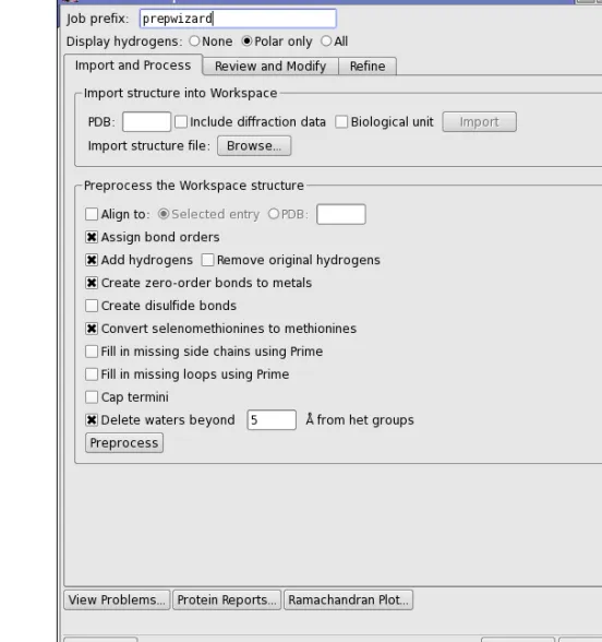 Figure 2.1. The Import and Process tab of the Protein Preparation Wizard panel.