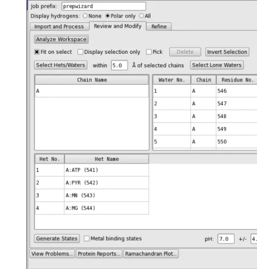 Figure 2.3. The Review and Modify tab of the Protein Preparation Wizard panel.
