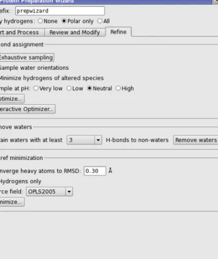 Figure 2.4. The Refine tab of the Protein Preparation Wizard panel.