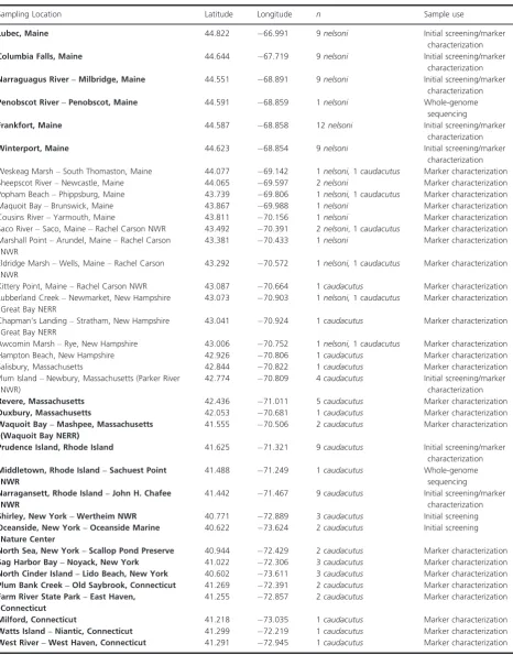 Table 1. Sampling locations and sample sizes of Ammodramus caudacutus and A. nelsoni used in this study
