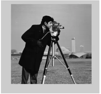 Fig 5.1: original cameraman image 