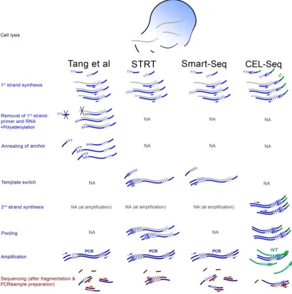 Figure 1. Overview of four scRNA-seq methods. The scheme is a simplification and the focus is the differences between the protocols and the steps that are characteristic to each