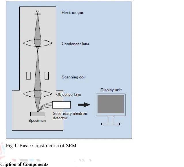 Fig 1: Basic Construction of SEM 