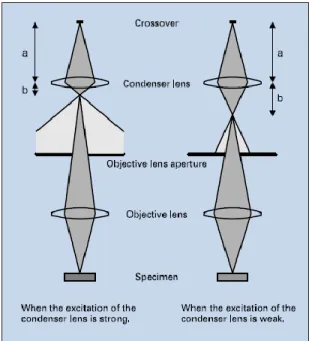 Fig 5: Formation of electron probe by lenses  