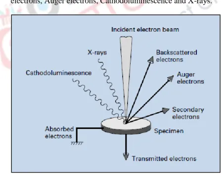 Fig 6: Construction of Secondary electron detector 