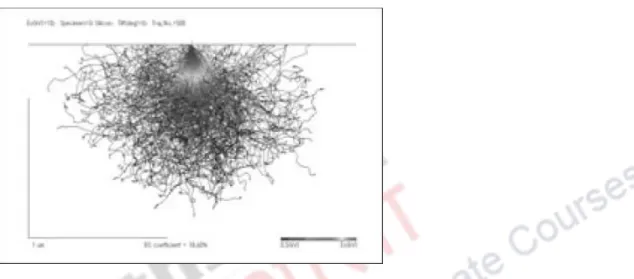 Fig 9: Overlap of the internal structure information on the specimen surface 