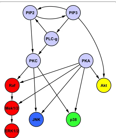 Figure 2 Protein network and pathway structure for biologicallyinformative priors in the synthetic response data study.Responses were generated from published phospho-proteomic data[10] consisting of 11 proteins and 853 samples (baseline data only).Network