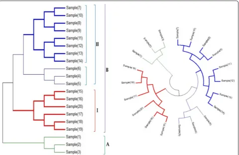 Fig. 4 Molecular phylogenetic analysis of differentlike protein. The phylogenetic analysis was performed in MEGA program version 6 by maximum likelihood method depending on the JTT matrix-based model (Jones, et al