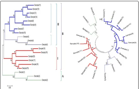 Fig. 5 Molecular Phylogenetic analysis of differentlike protein. The phylogenetic analysis was performed in MEGA version 6 program by maximum likelihood method depending on the JTT matrix-based model (Jones, et al