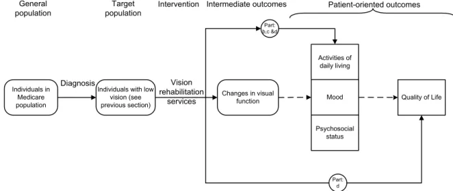 Figure 1. Analytic Framework for Addressing Effectiveness of  Vision Rehabilitation 