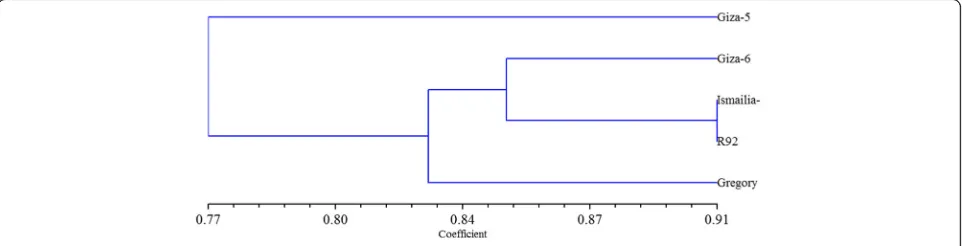 Fig. 2 Dendrogramtree of genetic distances among five peanut cultivars based on RAPD markers