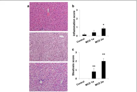 Table 1 Plasma parameters in mice fed control or methionine-and choline-deficient (MCD) diet for 1 and 2 weeks
