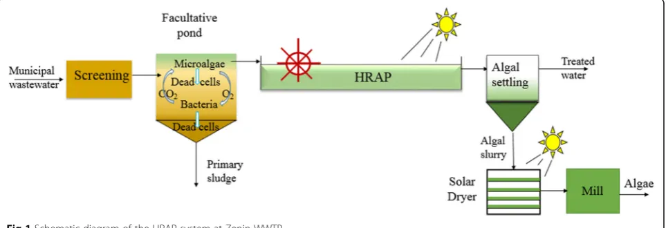Fig 1 Schematic diagram of the HRAP system at Zenin WWTP