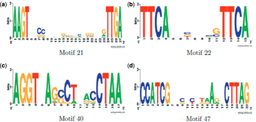 Figure 3. Motif Sequence logos for activity cluster 7 (15 target genes, 4 motifs). (PHO box, albeit with the missing nta–d) Motif logos