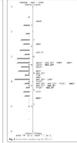 Fig. 2 Person-item variable map for TRC-n-2