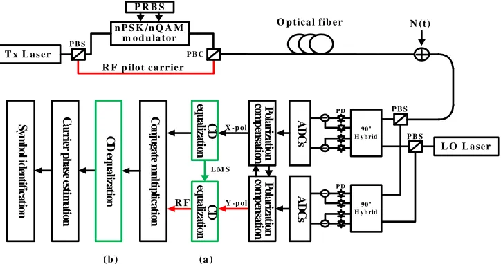 Fig. 1. Block diagram for single polarization nPSK/nQAM system using an optical RF pilot tone for phase noise correction (including red system parts)