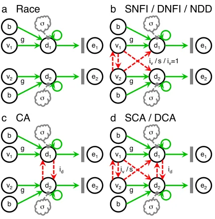 Figure 2.2.  Dynamical models of neural decision making.  (a) The race model 