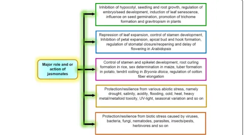 Fig. 1 The role of JAs on plant growth and developmental processes