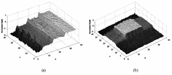Figure 11. Estimated depth maps from (a) Staircase, and (b) “T” 