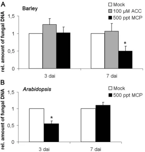 Figure 1. Colonization of barley and Arabidopsissubsequently treated with 500 ppt 1-methylcyclopropene (MCP) asdescribed in Materials and Methods
