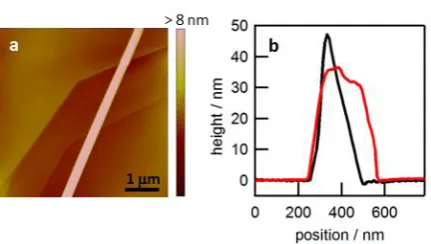 Figure S2.1 Contact area determination of SECCM  deposited using SECCM. (d) Cross-sections of deposited polyaniline formed by scanning parallel (red) and perpendicular (black) to the septum in the capillary.(a) Tapping mode - atomic force microscope image of polyaniline  
