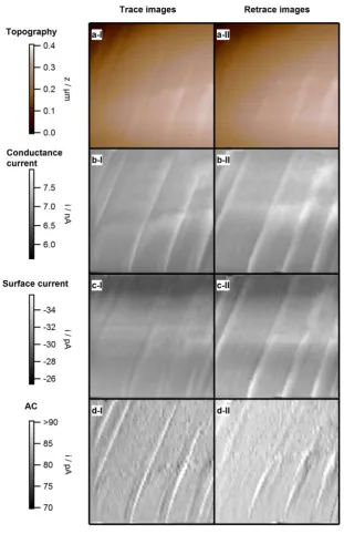 Figure S2.2 Set of SECCM xy-maps for the reduction of Ru(NH3)63+ obtained during a single experiment
