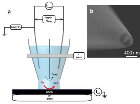 Figure 1 Principles of scanning electrochemical cell microscopy (SECCM). (a) Schematic of the SECCM set-up