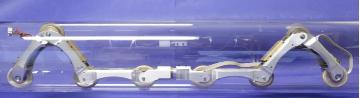 Figure 1.1: PIRATE inside a pipe [1]