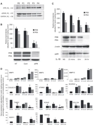 Fig. 1 (ing siRNA transfected (NT) control. Black bars show qRT-PCR validation data (A) Expression of oxytocin receptor (OTR), alpha-smooth muscle actin (aSMA) and glyceraldehyde 3-phosphate dehydrogenase (GAPDH) atpassage numbers zero through four