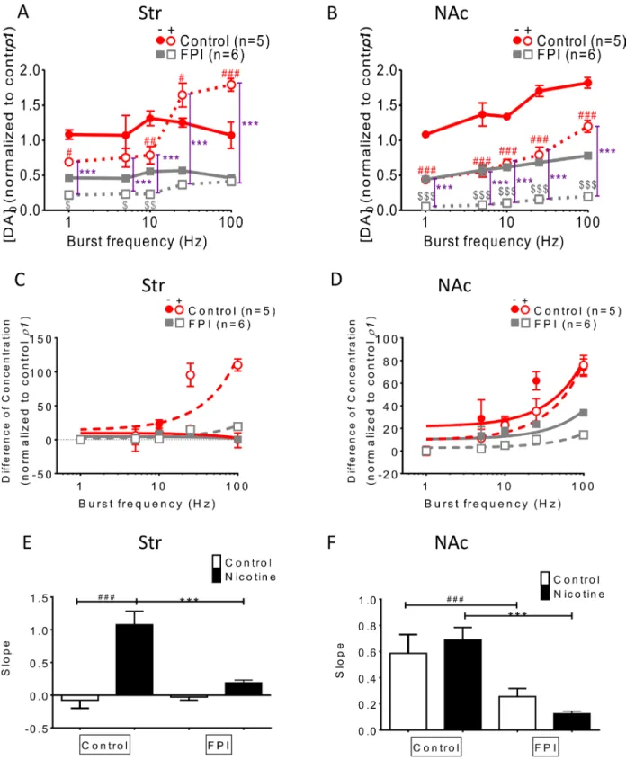 Figure 3: Frequency-dependent augmentation was affected by FPI.  (A) DA release was enhanced by bursting frequencies  (more than 10 Hz) in striatal slices infused with nicotine, and this frequency-dependent augmentation was suppressed after FPI