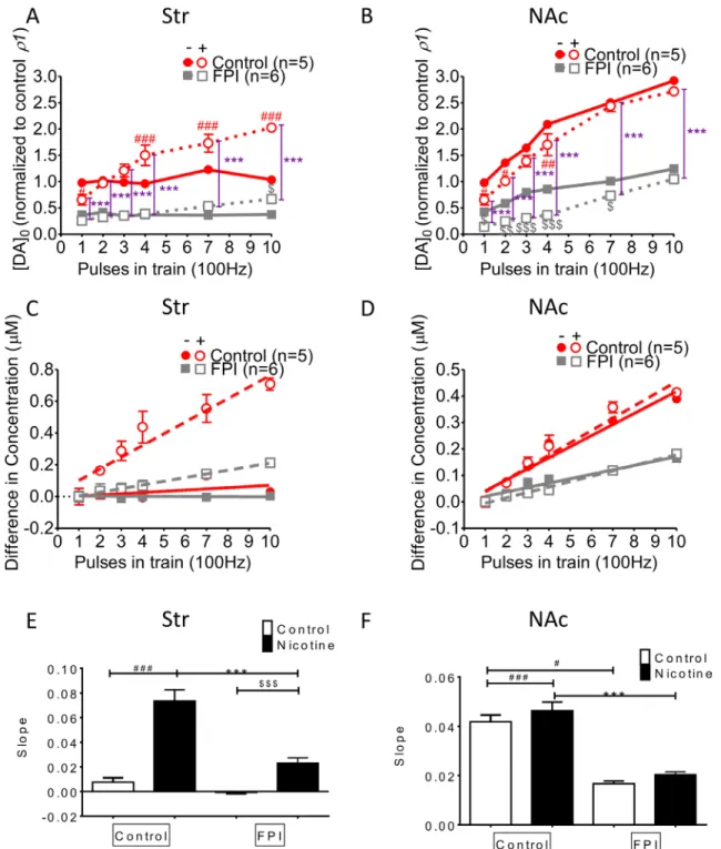 Figure 4: DA release enhanced by increases in HFS trains was affected by FPI.  (A) DA release was enhanced with an  increasing difference in the HFS trains under nicotine desensitization