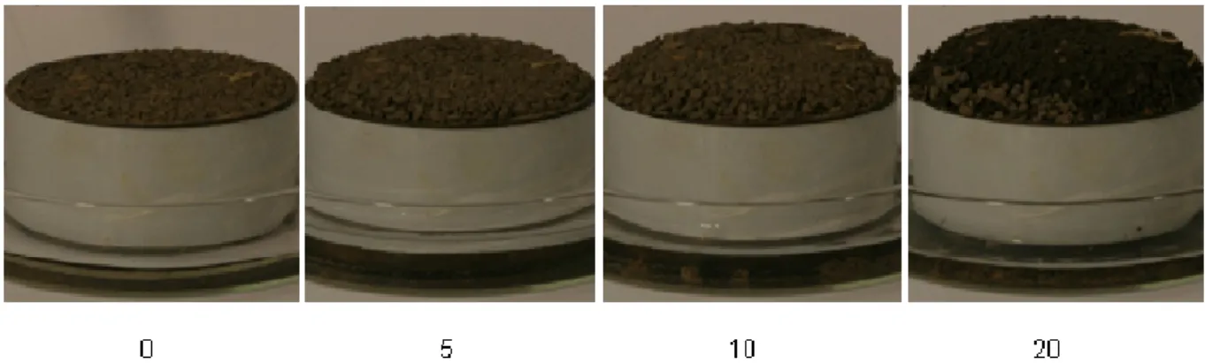 Figure 4 Expanding clay loam soil at 0, 5, 10 and 20 minutes after adding water from below the  sample