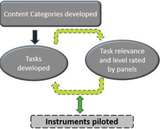Figure 1 –Iterative instrument development process 
