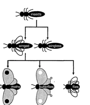 Figure 4.1 taxonomy chart of 